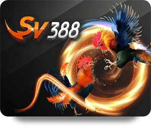 Dafabet Live Dealer: Elevating Online Gaming to New Heights